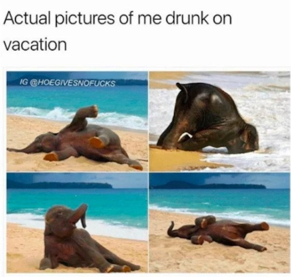 vacationmemes_019