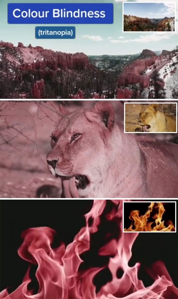 visionimpairments_015