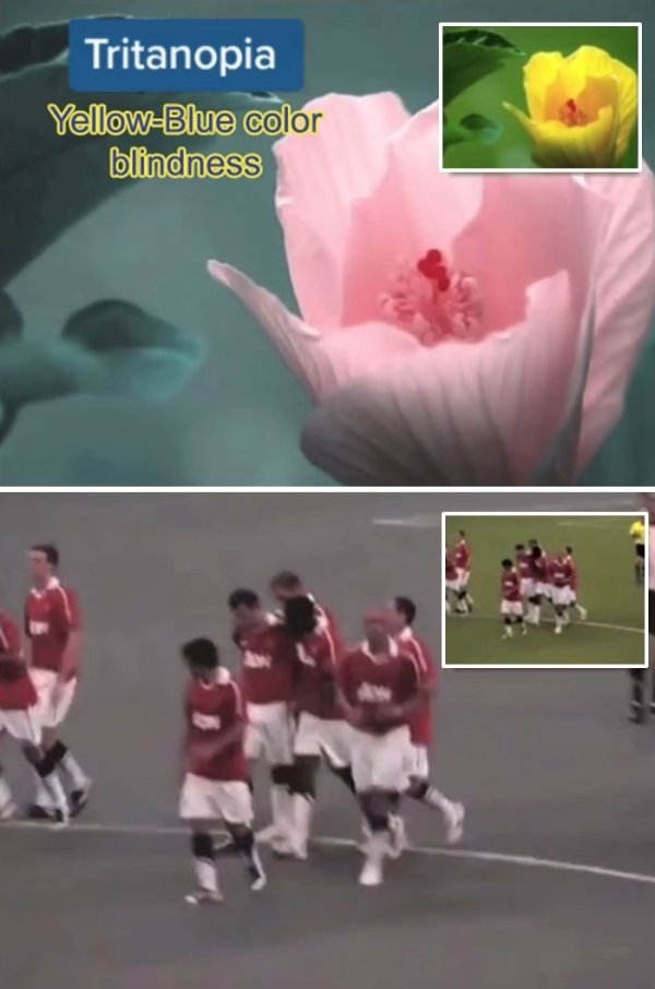 visionimpairments_019