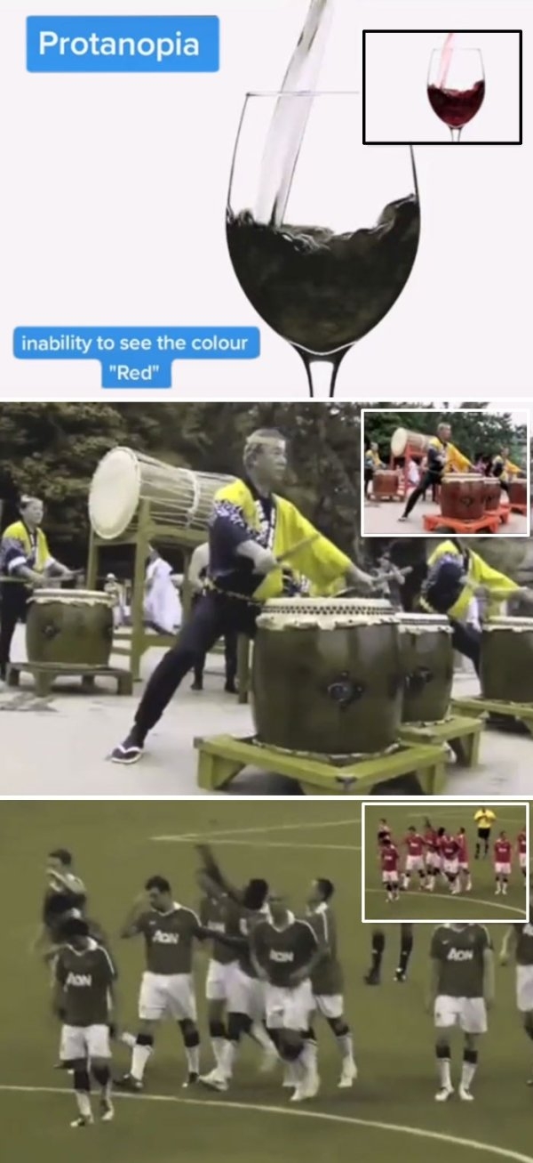 visionimpairments_021