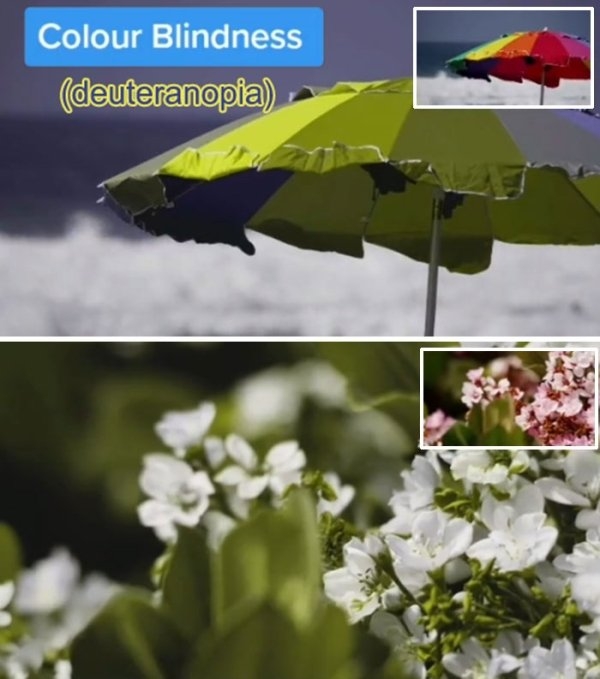 visionimpairments_022