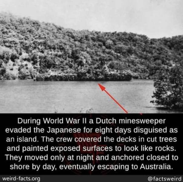 weirdfacts_033