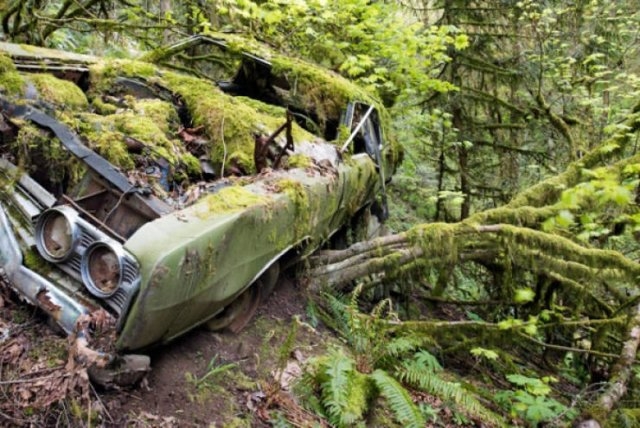 abandonedplaces5_024