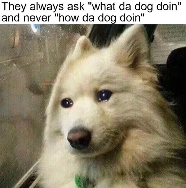 dogmemes2_003