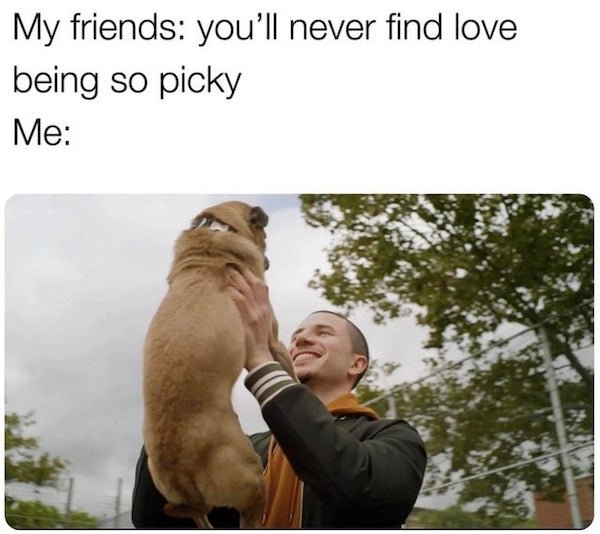 dogmemes2_021