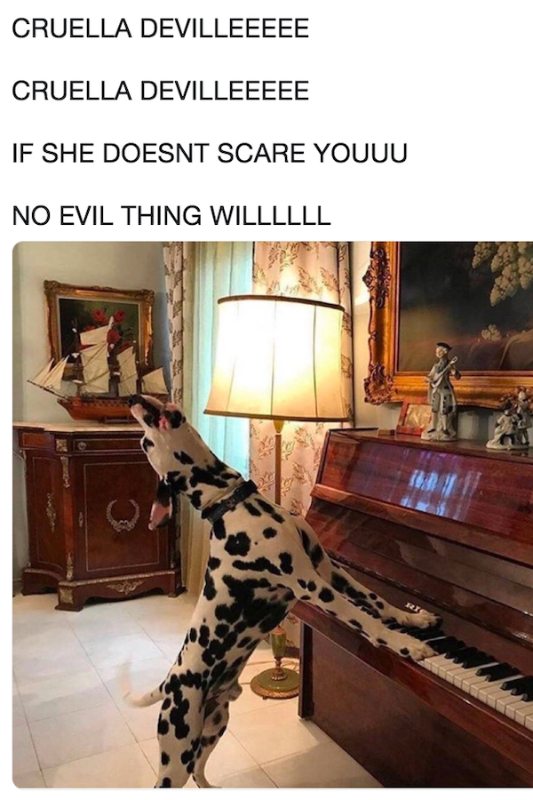 dogmemes2_022
