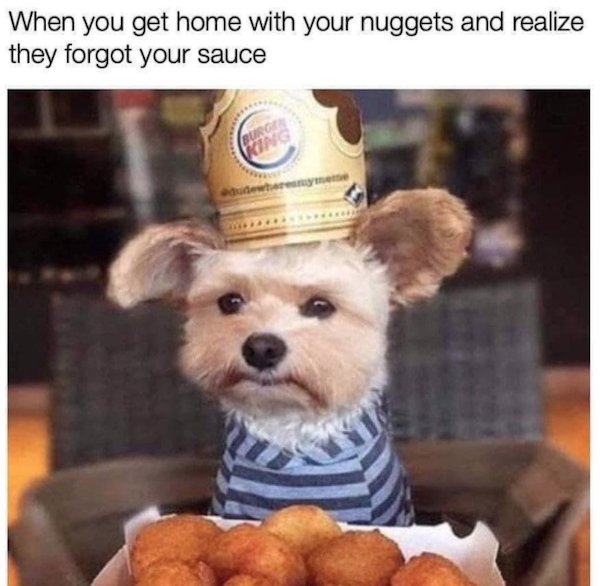 dogmemes2_028