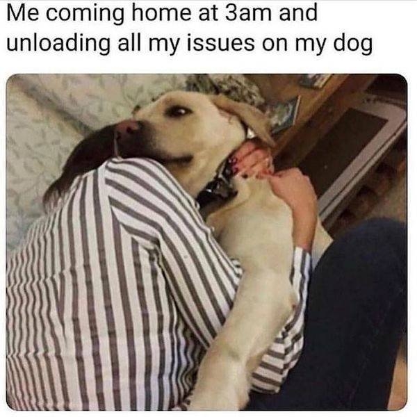 dogmemes2_036