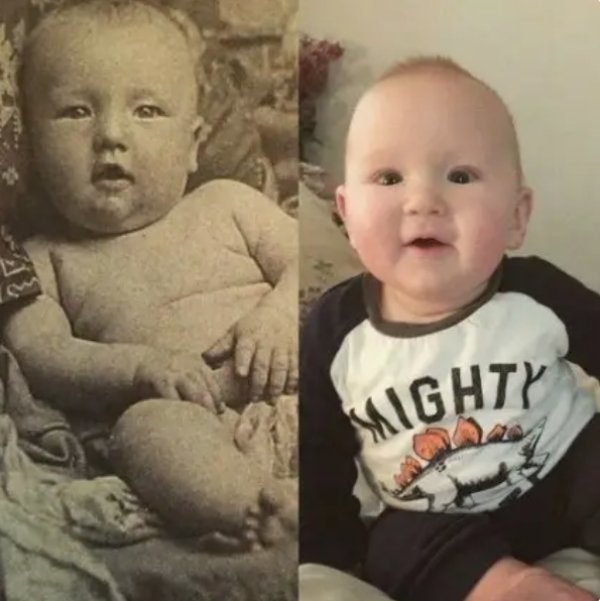 familysimilarity_014