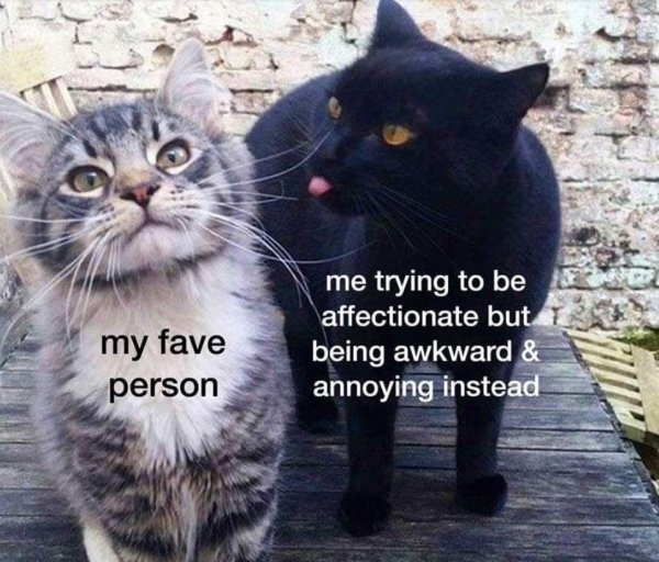 flirtmemes2_025
