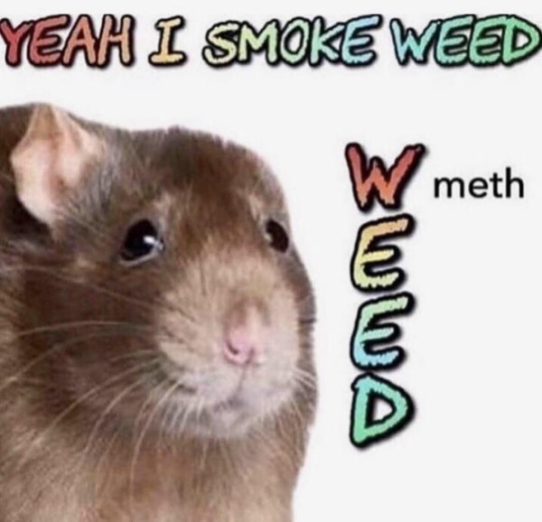 funnymemes71_004