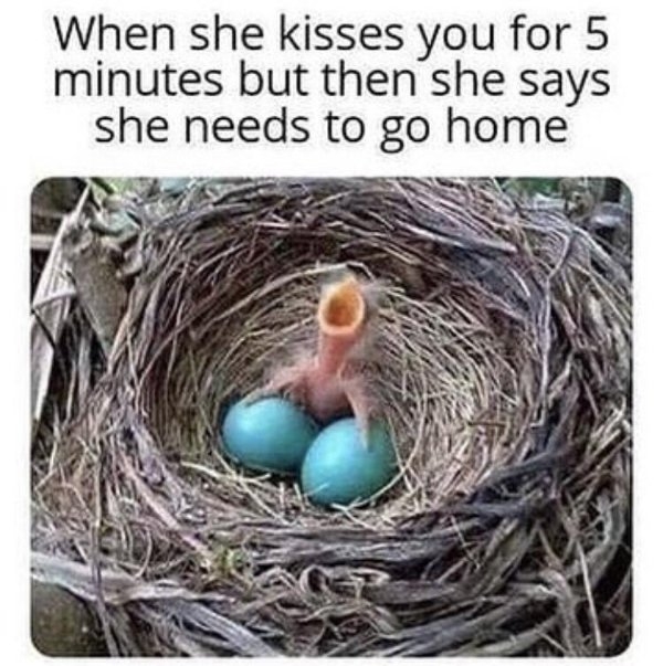 funnymemes71_019