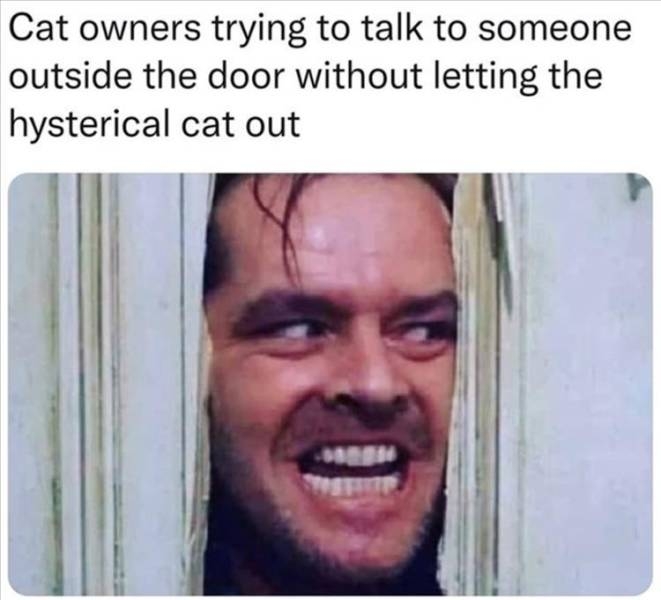 funnymemes71_025