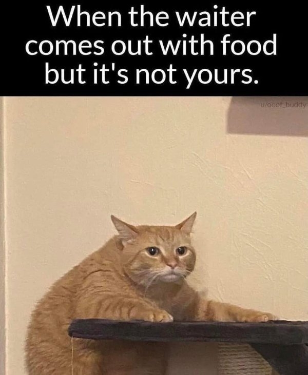 funnymemes71_026