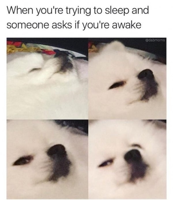 funnymemes71_042