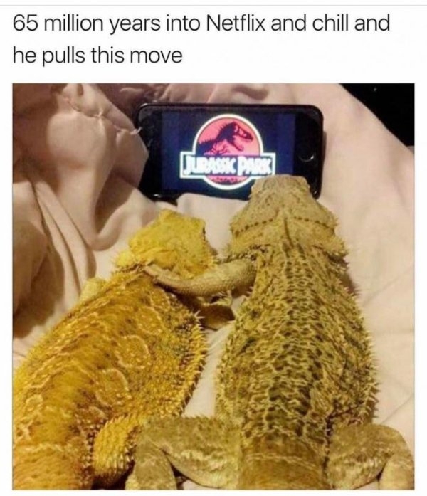funnymemes71_043