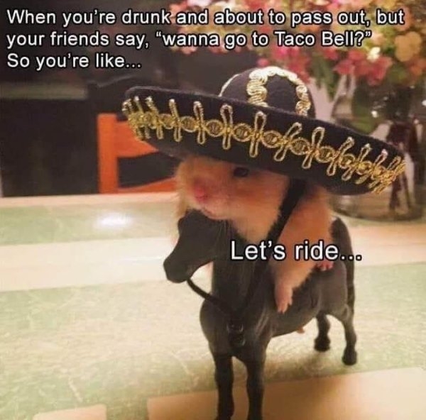 funnymemes71_044