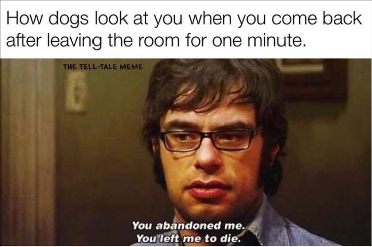 funnymemes71_058