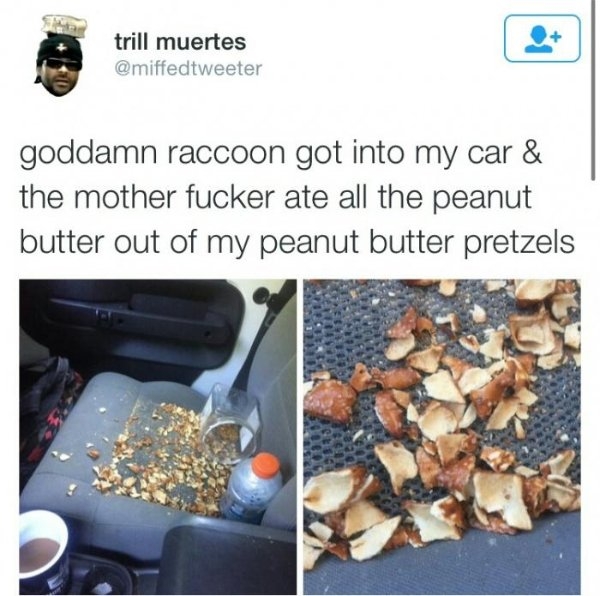 funnymemes71_059