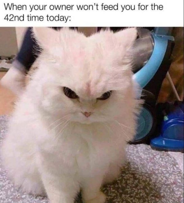 funnymemes71_061