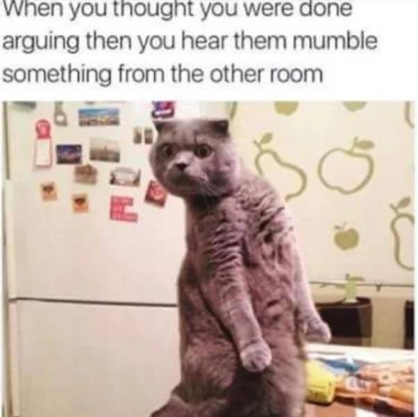 funnymemes73_051