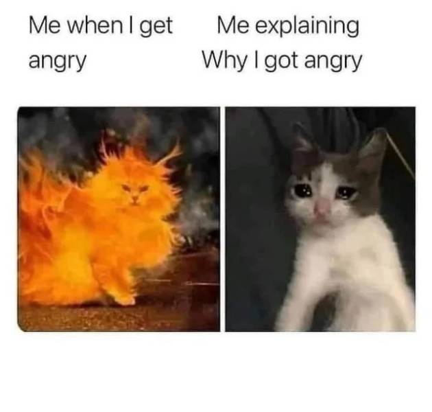 funnymemes73_052