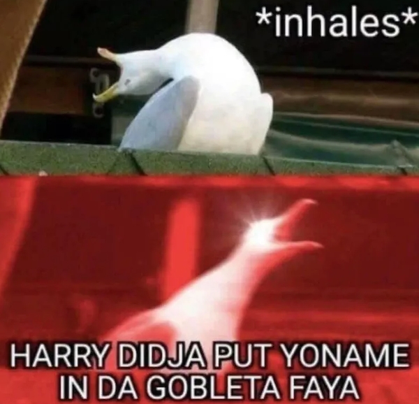 harrypottermemes2_008