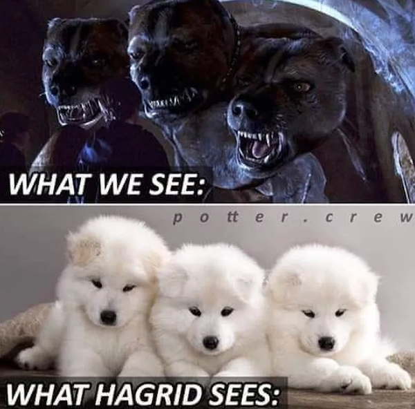 harrypottermemes2_010