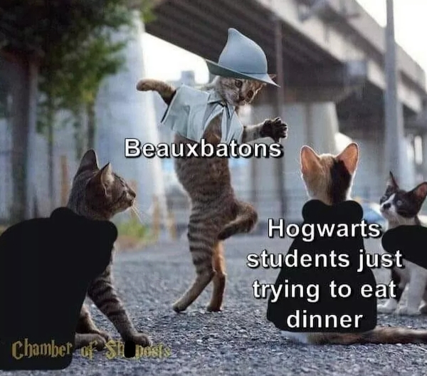 harrypottermemes2_017