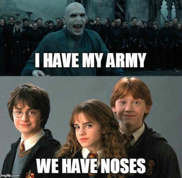 harrypottermemes2_021