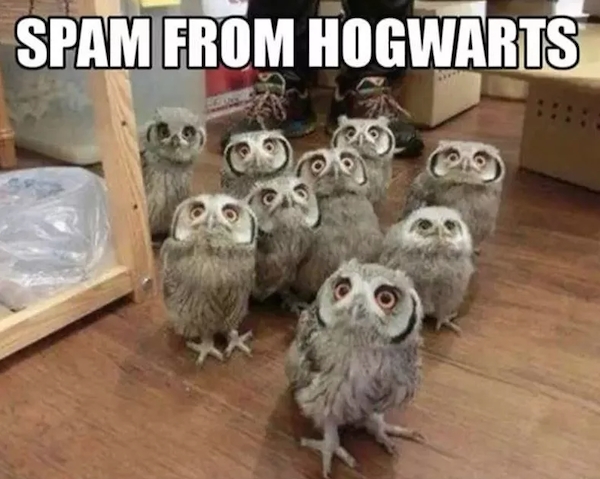 harrypottermemes2_026