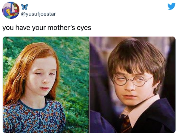 harrypottermemes2_028