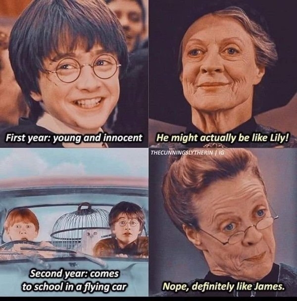 harrypottermemes2_036