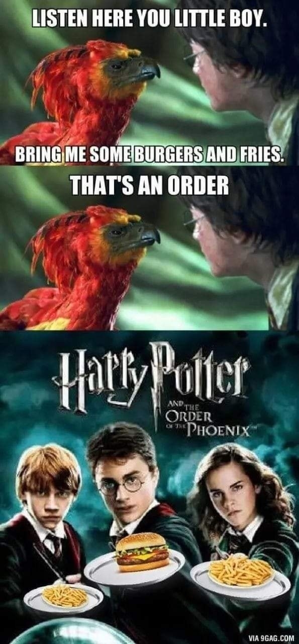 harrypottermemes2_037