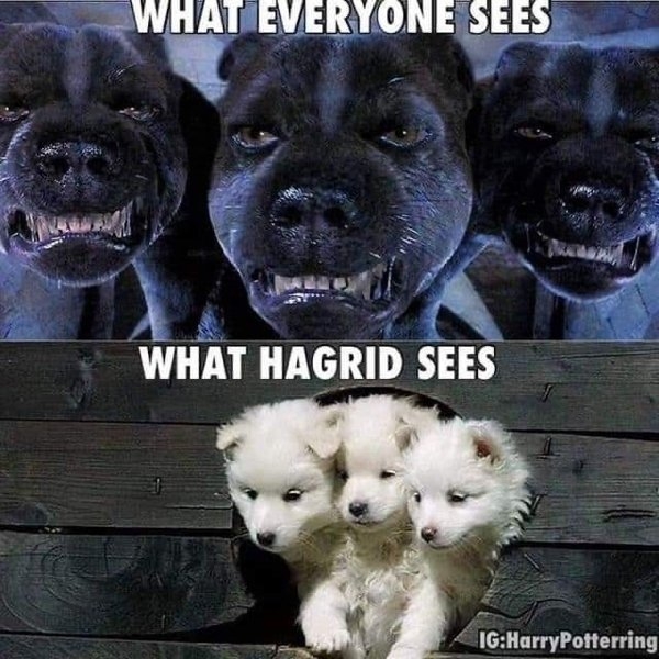 harrypottermemes2_038