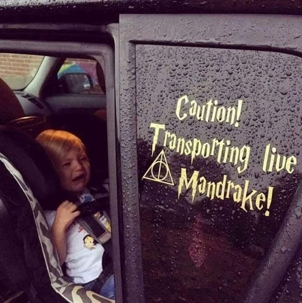 harrypottermemes2_040