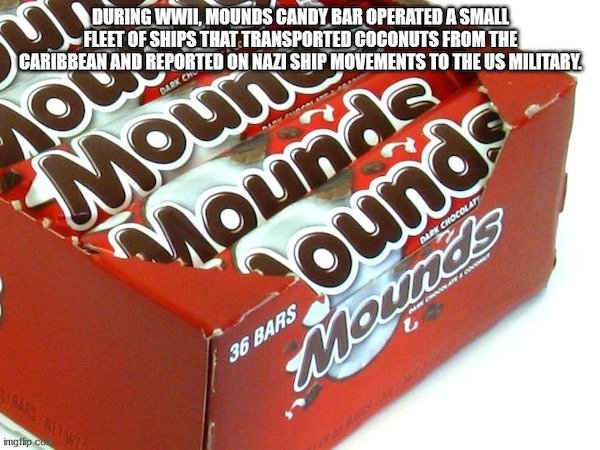 interestingfacts13_001