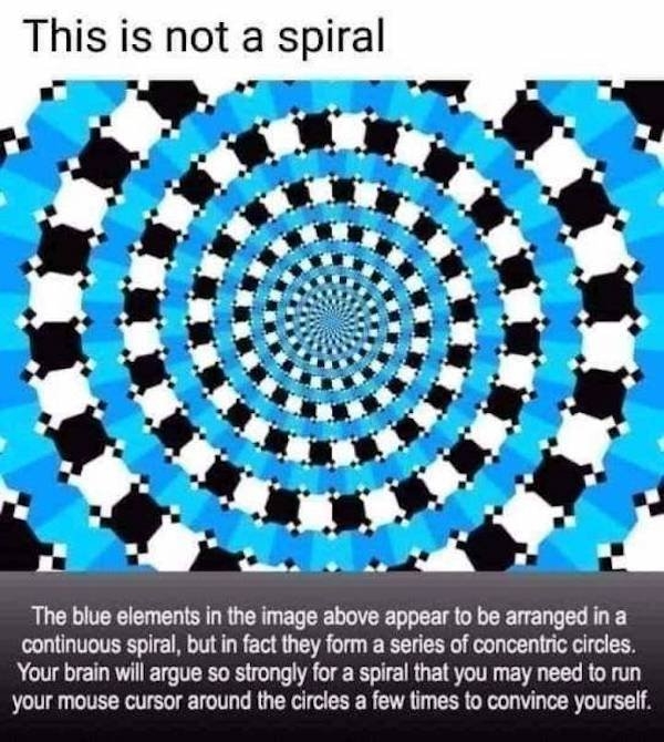 interestingfacts13_005