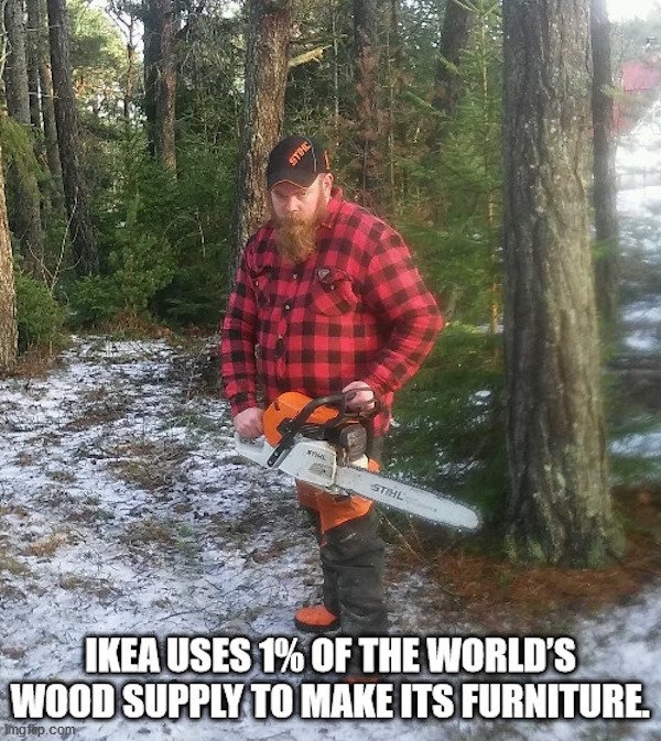 interestingfacts13_015