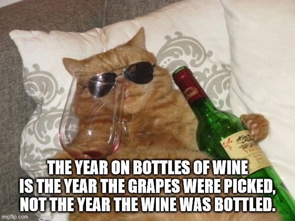 interestingfacts13_020