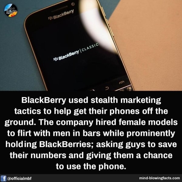 interestingfacts15_005