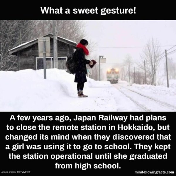 interestingfacts15_006