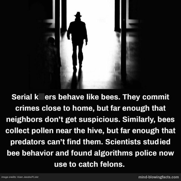 interestingfacts15_011