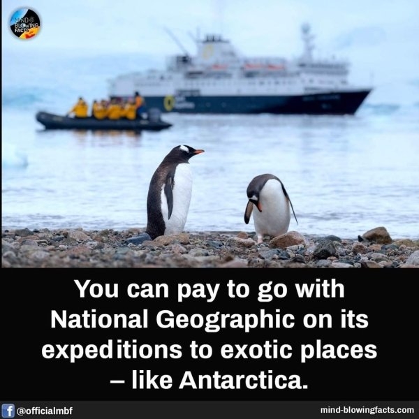 interestingfacts15_017