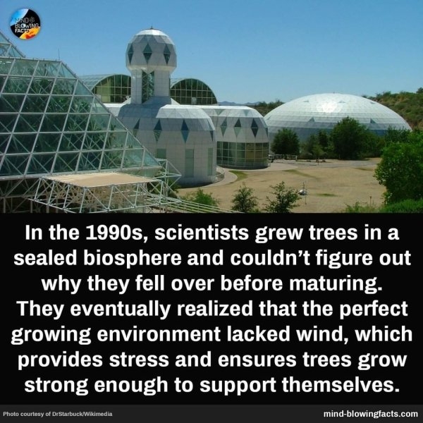 interestingfacts15_020