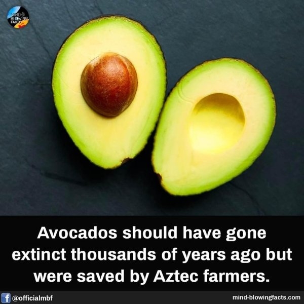 interestingfacts15_021