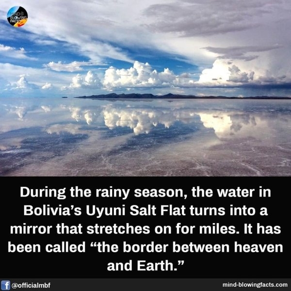 interestingfacts15_026