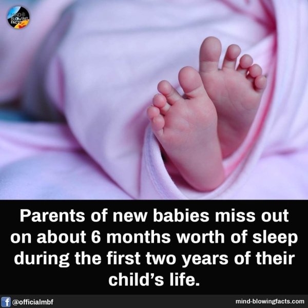 interestingfacts15_027