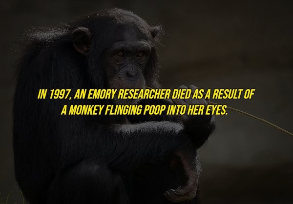 interestingfacts16_002
