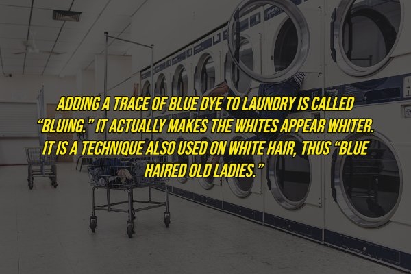 interestingfacts16_004